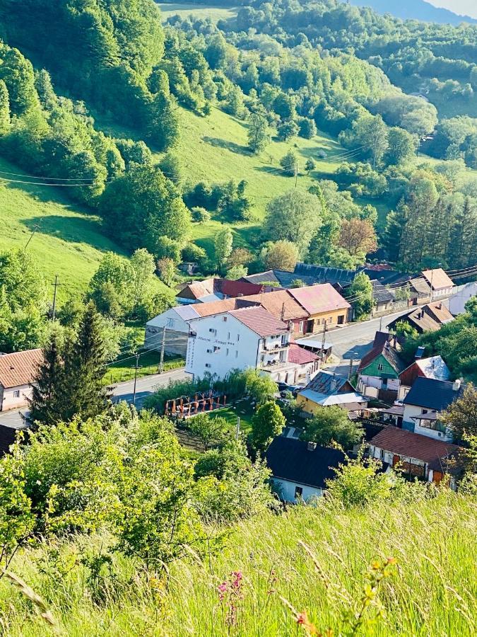 Pensiune Muntii Aninei Anina Buitenkant foto