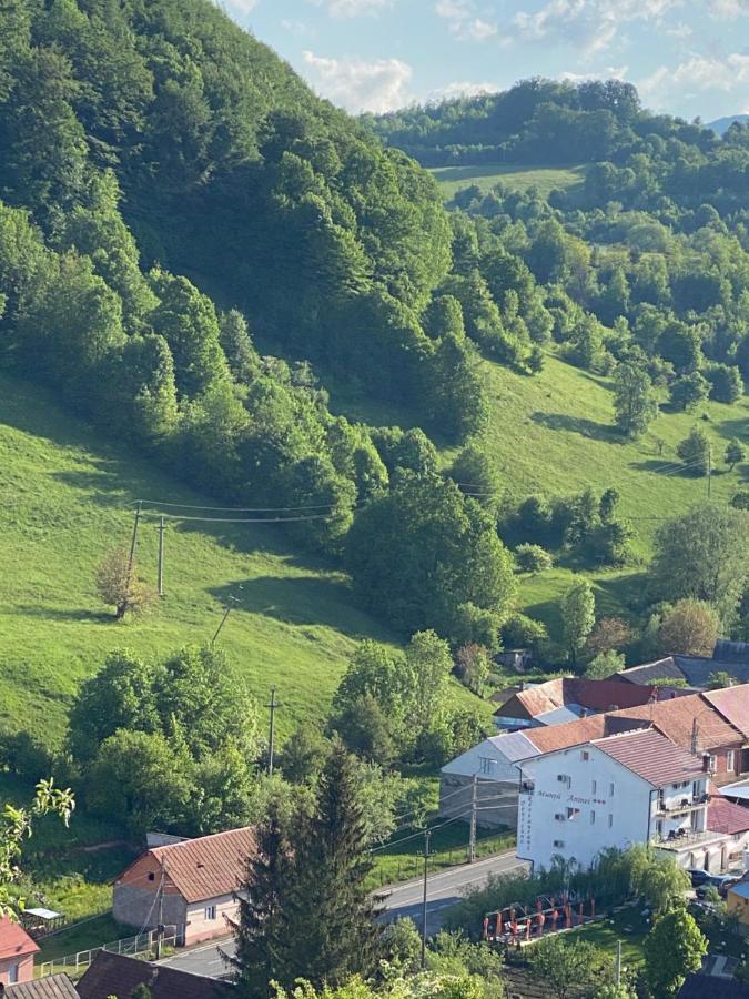 Pensiune Muntii Aninei Anina Buitenkant foto