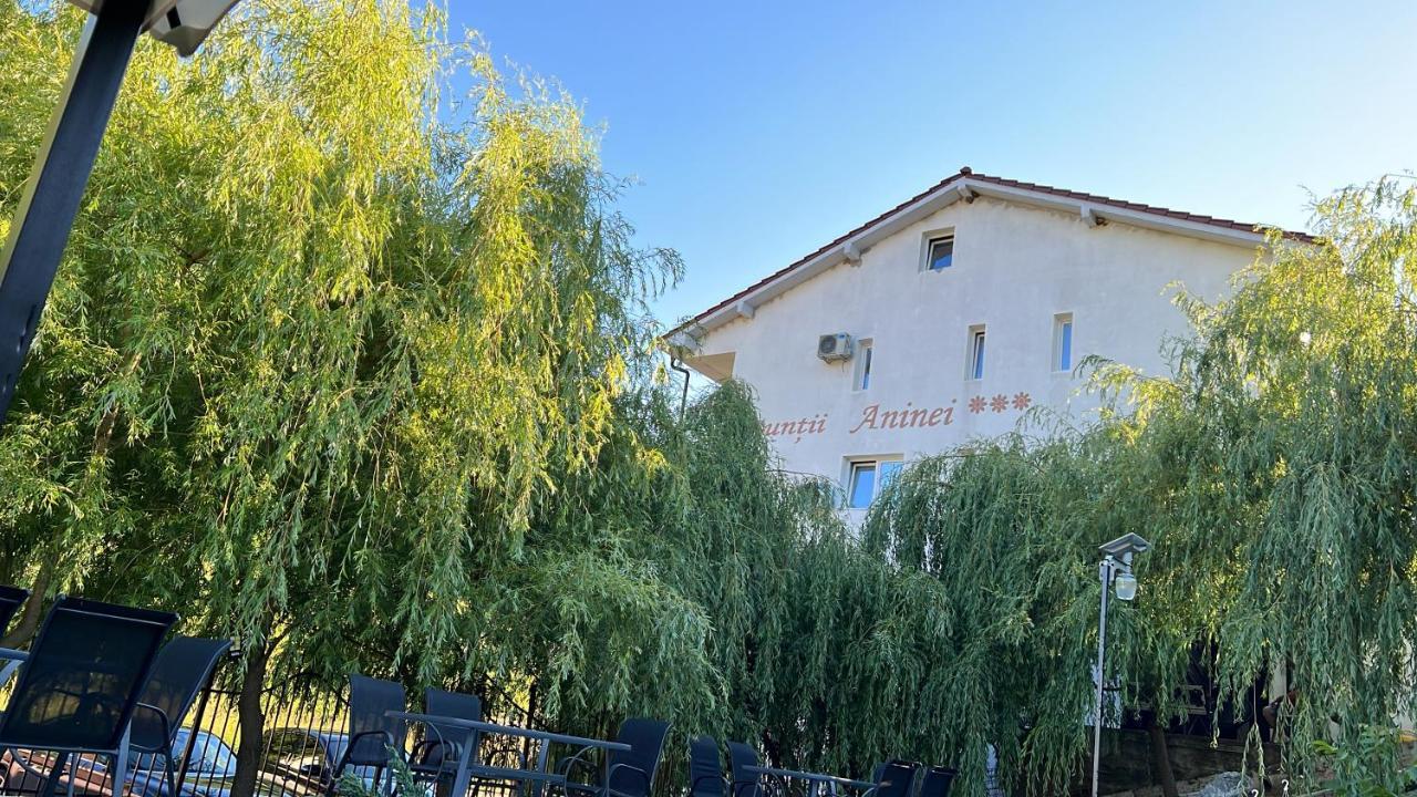 Pensiune Muntii Aninei Anina Buitenkant foto