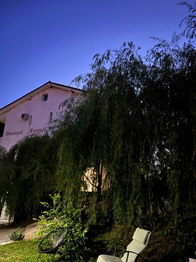 Pensiune Muntii Aninei Anina Buitenkant foto
