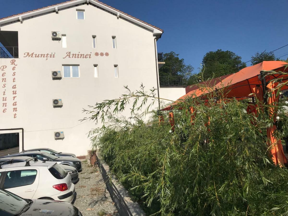 Pensiune Muntii Aninei Anina Buitenkant foto